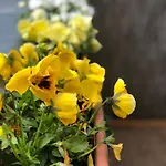 Thermal Garden Weninger * Кишкунхалаш